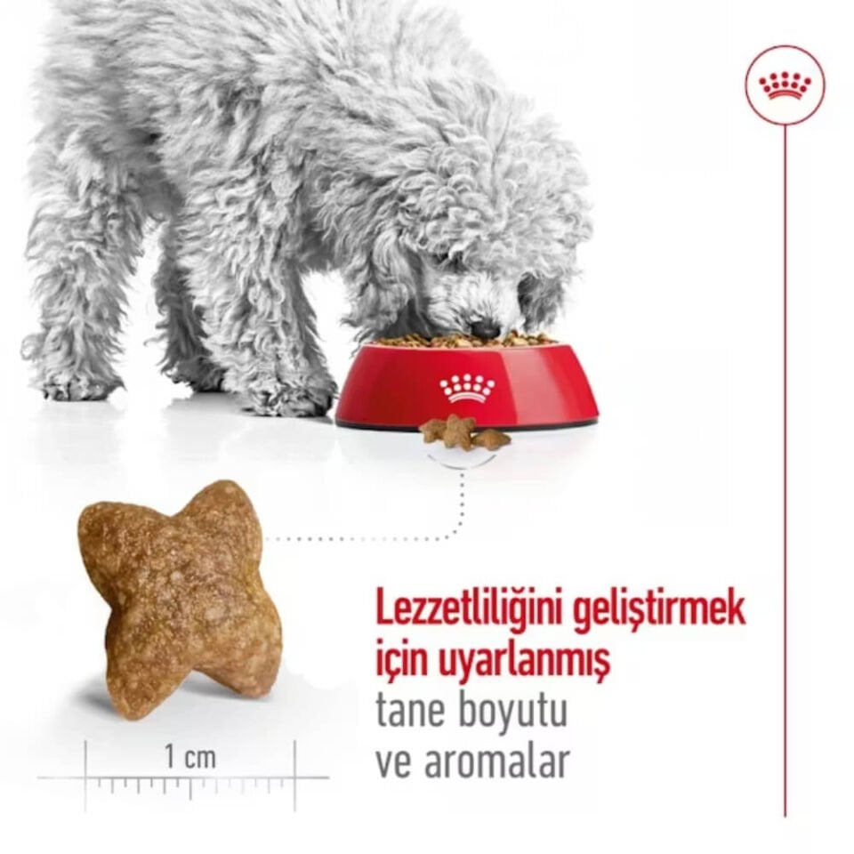 Royal Canin Mini Küçük Irk Yetişkin Köpek Maması 2kg