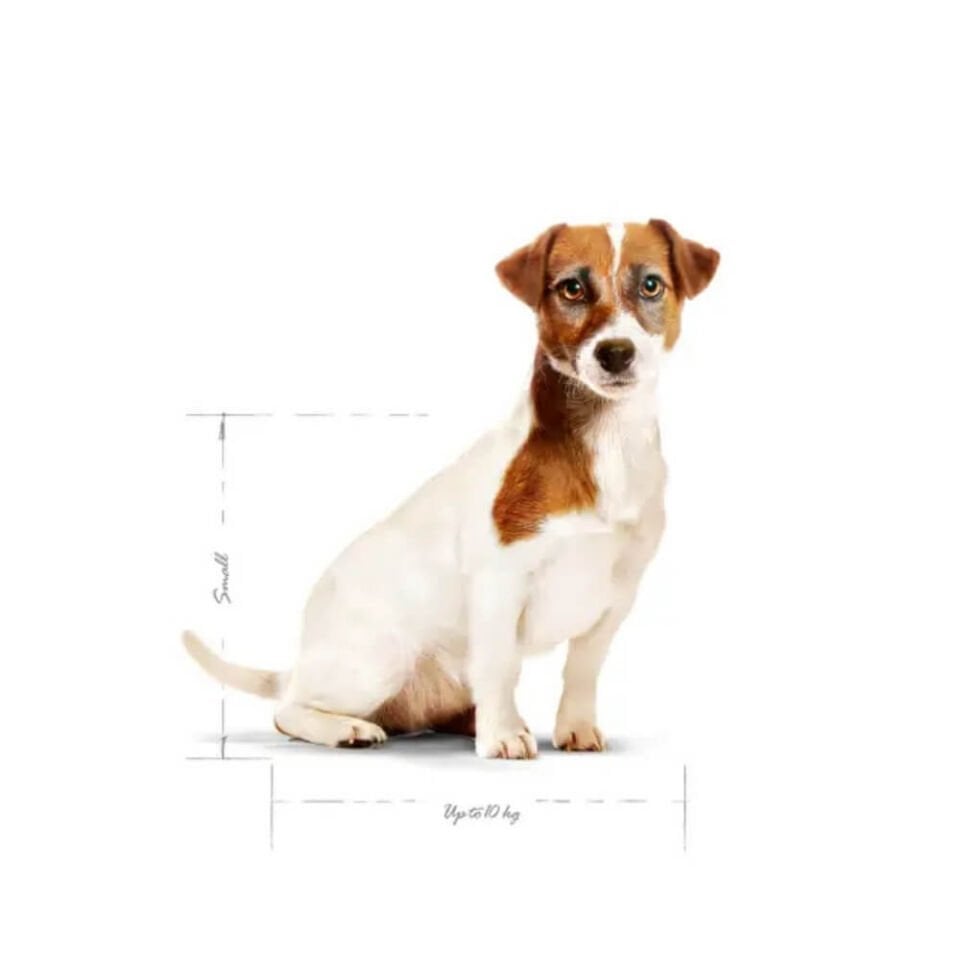 Royal Canin Mini 8+ Küçük Irk Yaşlı Köpek Maması 2kg