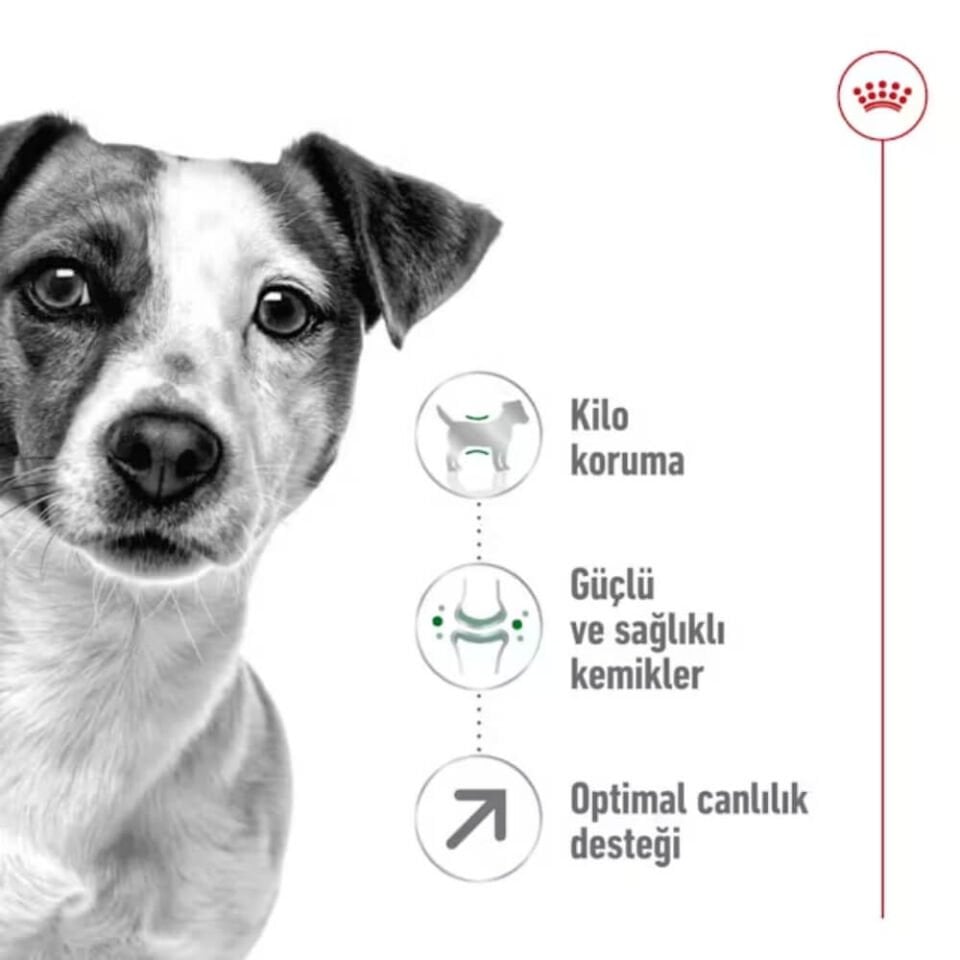 Royal Canin Mini 8+ Küçük Irk Yaşlı Köpek Maması 2kg
