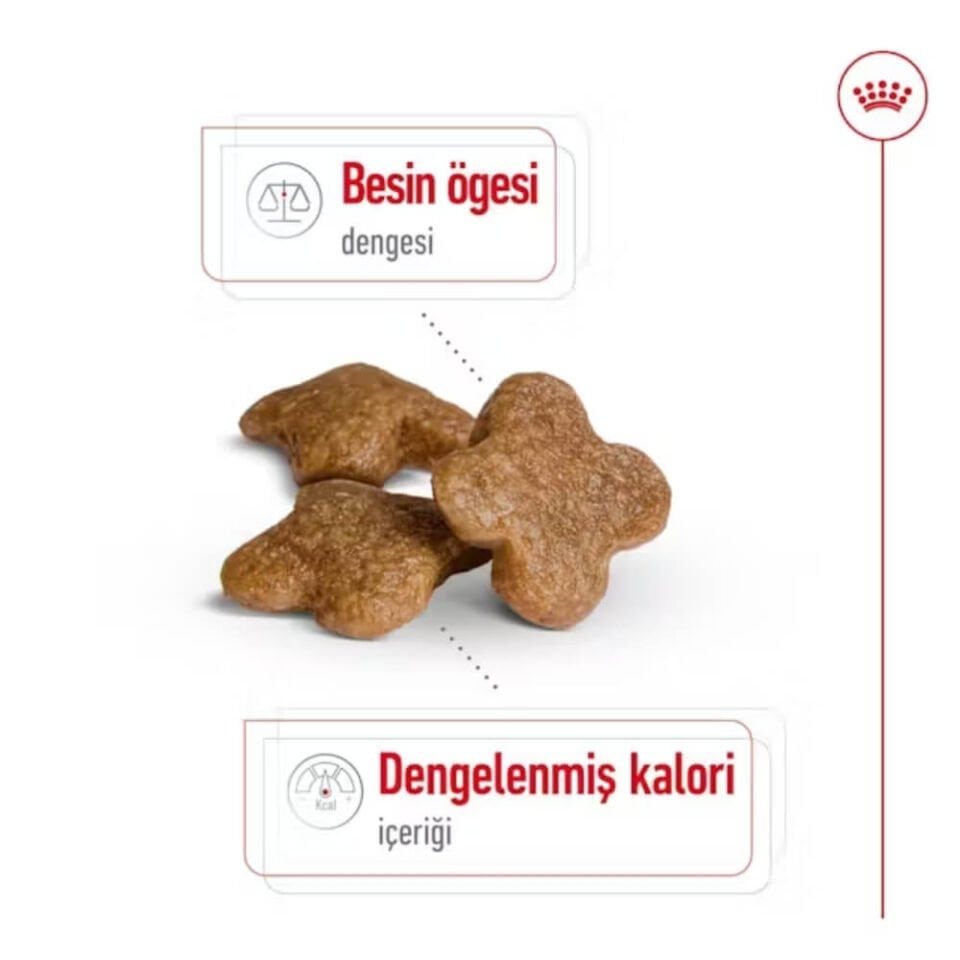 Royal Canin Mini 8+ Küçük Irk Yaşlı Köpek Maması 2kg
