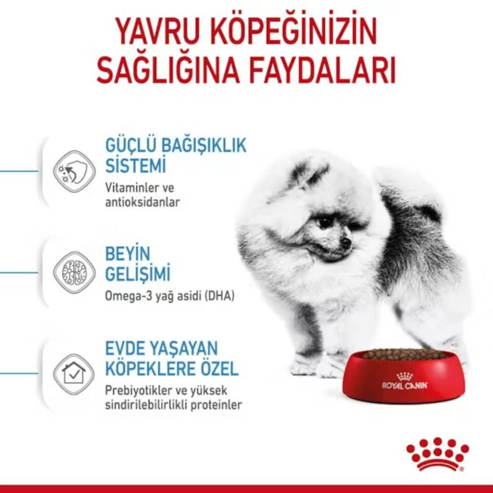 Royal Canin Mini Indoor Küçük Irk Yavru Köpek Maması 1,5kg