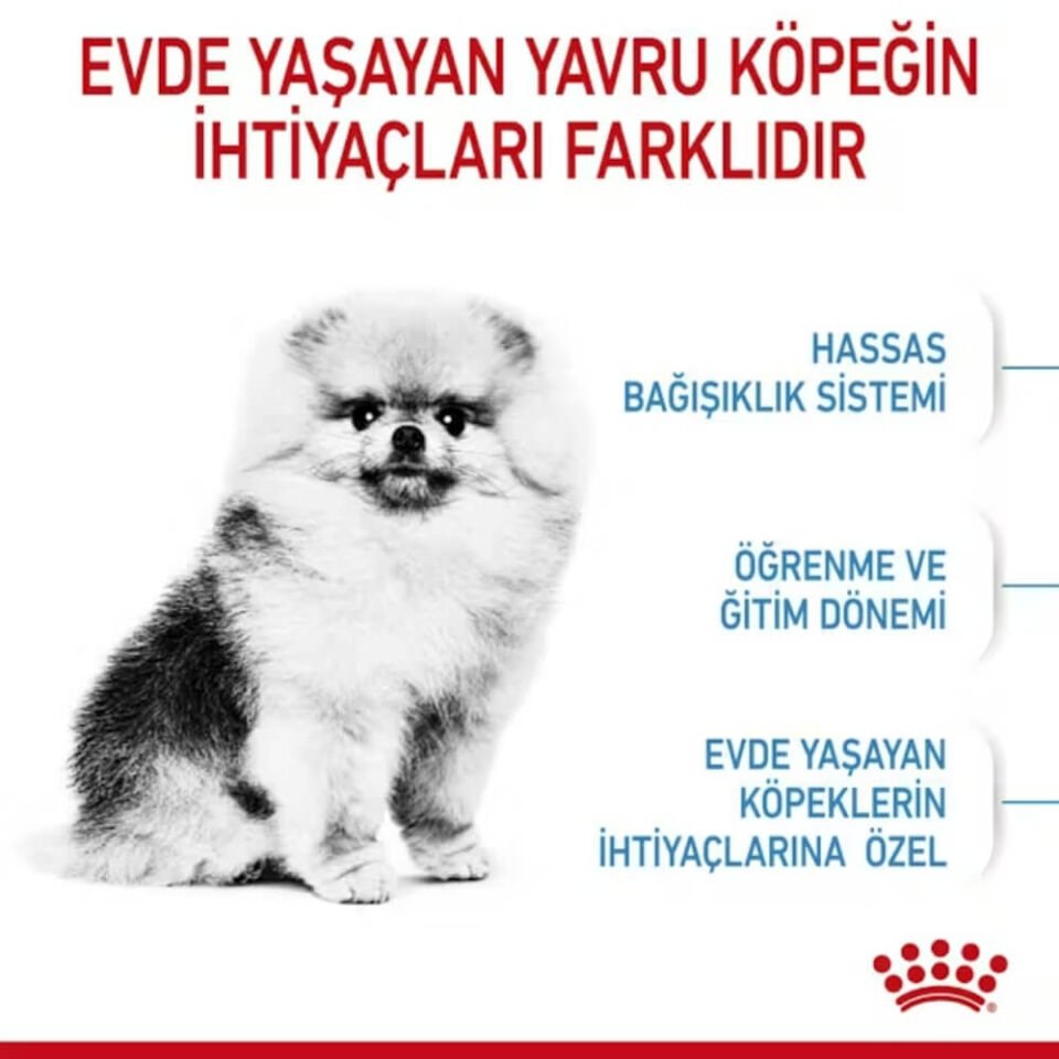 Royal Canin Mini Indoor Küçük Irk Yavru Köpek Maması 1,5kg