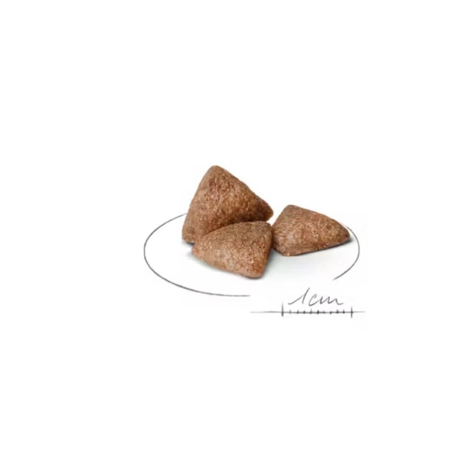 Royal Canin Mini Indoor Küçük Irk Yetişkin Köpek Maması 1,5kg