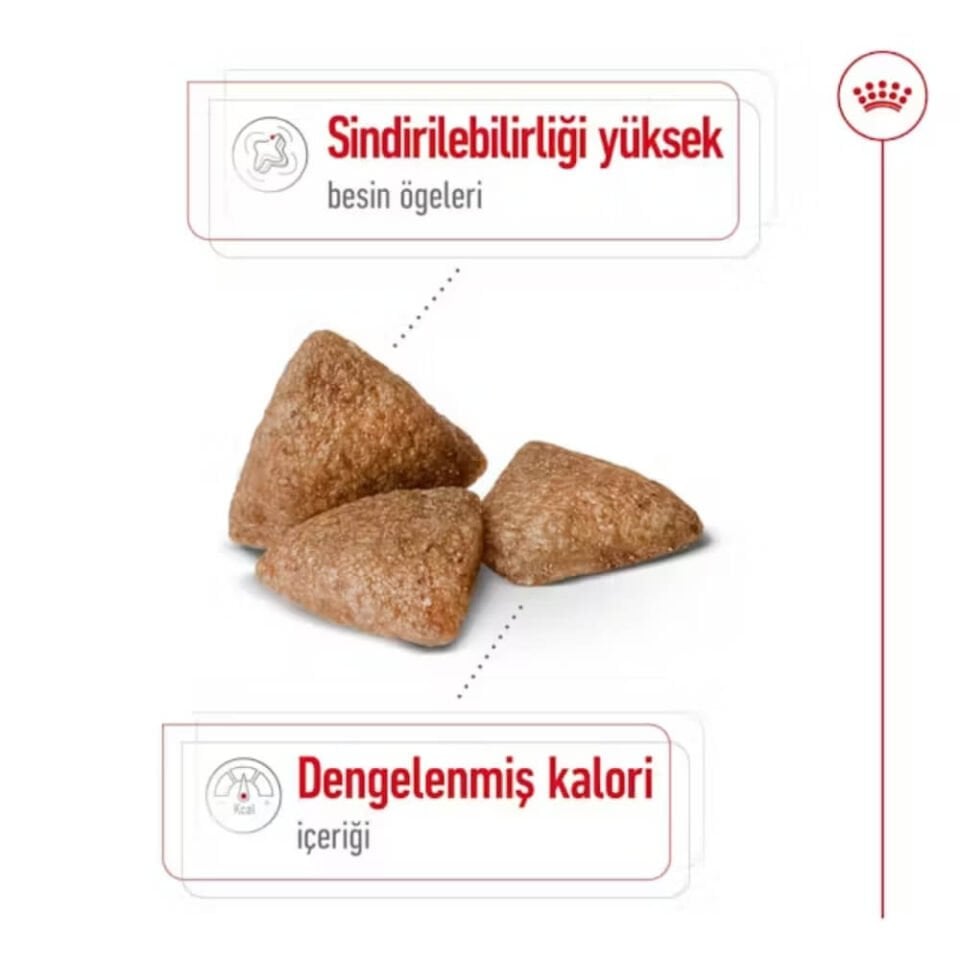 Royal Canin Mini Indoor Küçük Irk Yetişkin Köpek Maması 1,5kg