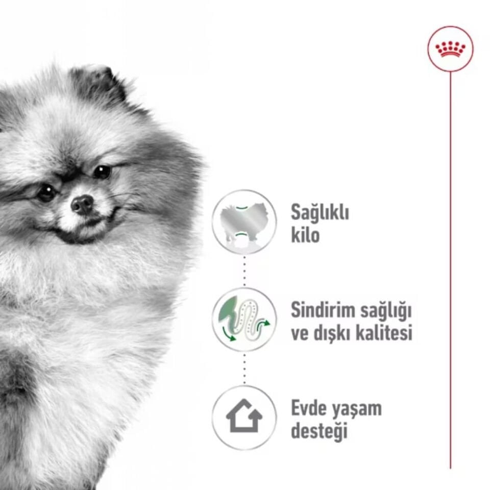Royal Canin Mini Indoor Küçük Irk Yetişkin Köpek Maması 1,5kg
