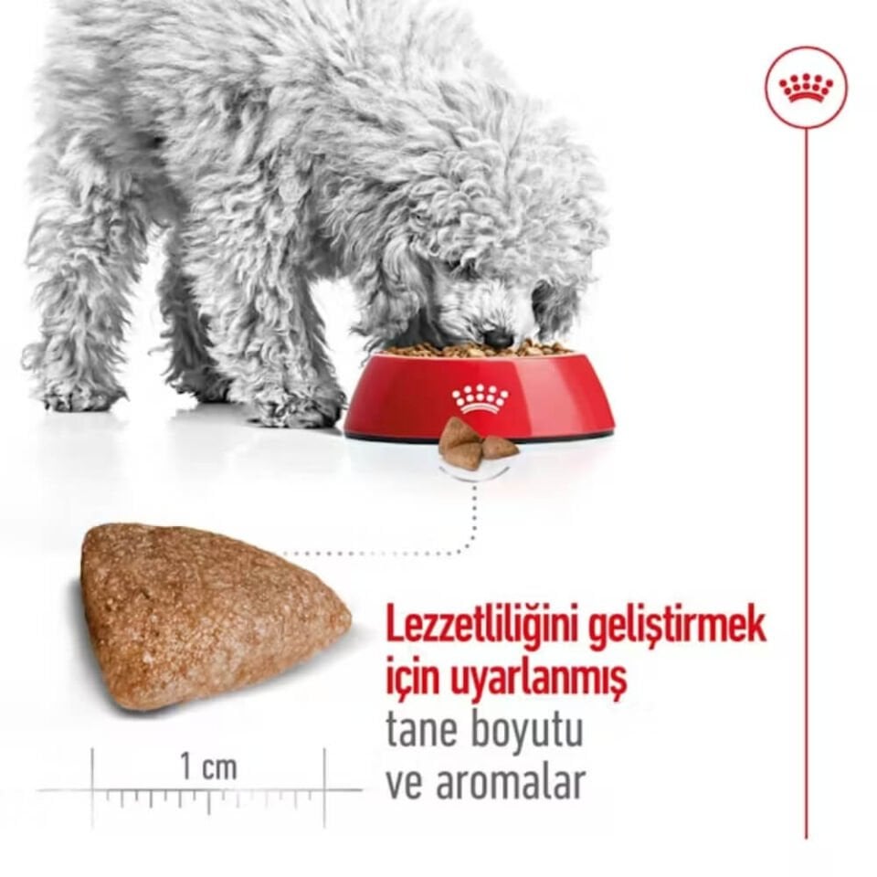 Royal Canin Mini Indoor Küçük Irk Yetişkin Köpek Maması 1,5kg