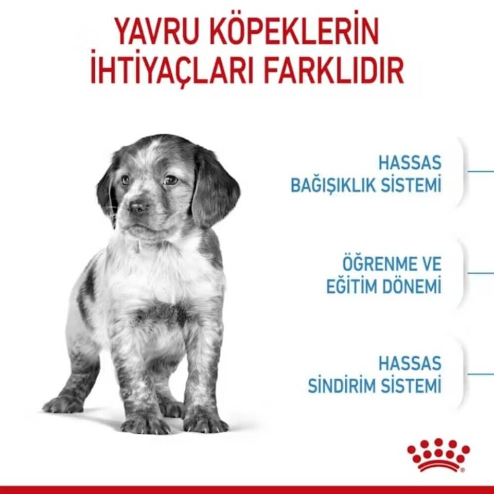 Royal Canin Medium Junior Orta Irk Yavru Köpek Maması 15kg