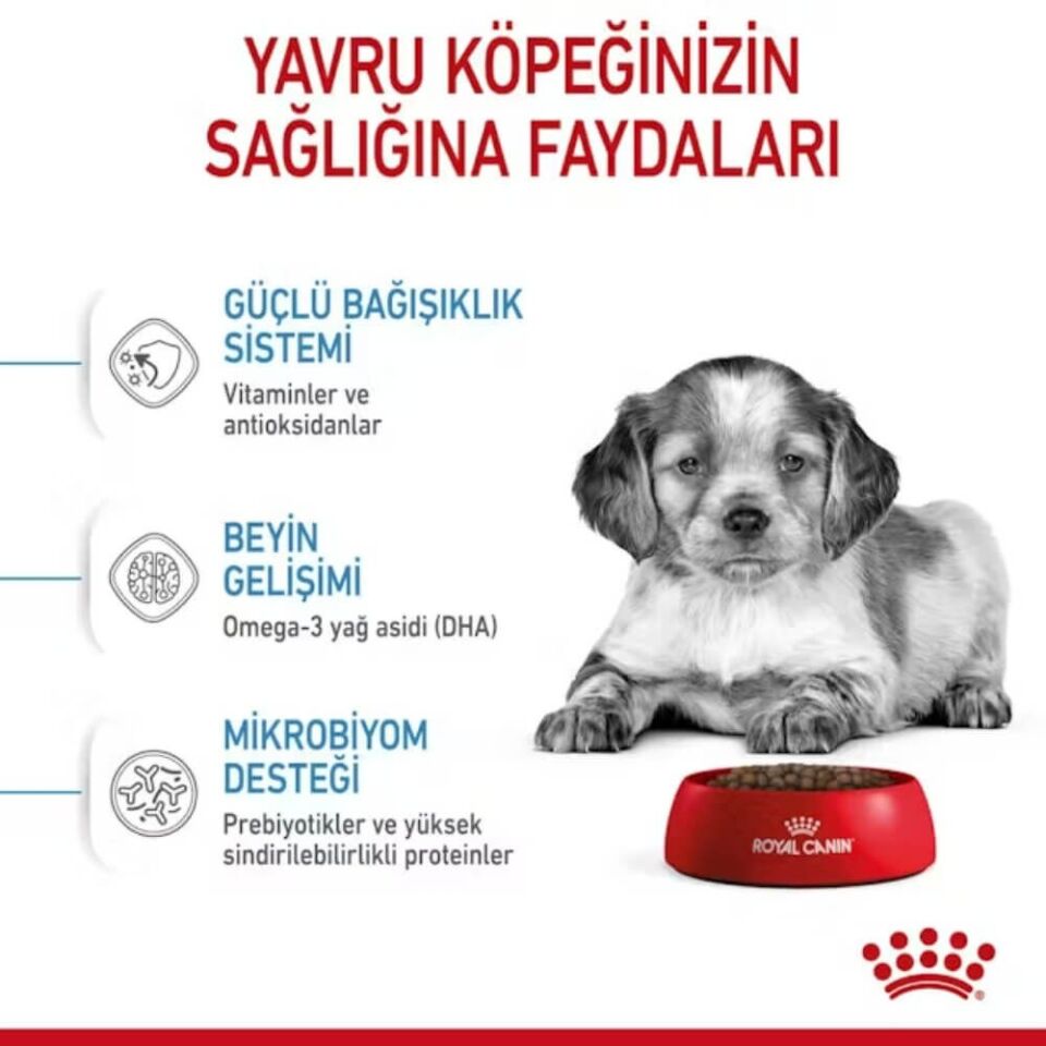 Royal Canin Medium Junior Orta Irk Yavru Köpek Maması 15kg