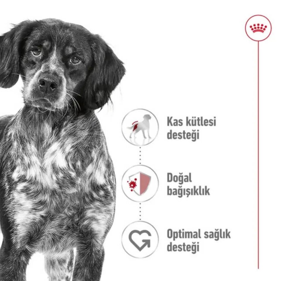 Royal Canin Medium Orta Irk Yetişkin Köpek Maması 15kg