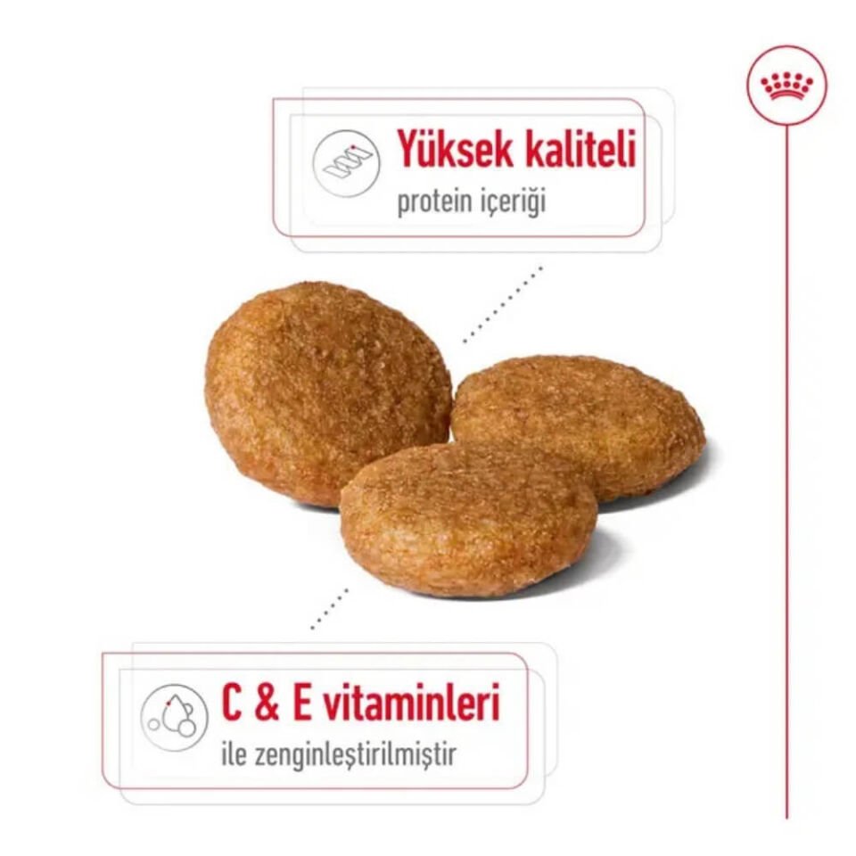 Royal Canin Medium Orta Irk Yetişkin Köpek Maması 15kg