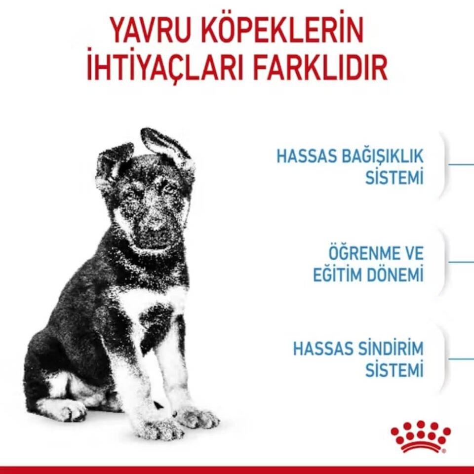 Royal Canin Maxi Puppy Büyük Irk Yavru Köpek Maması 15kg
