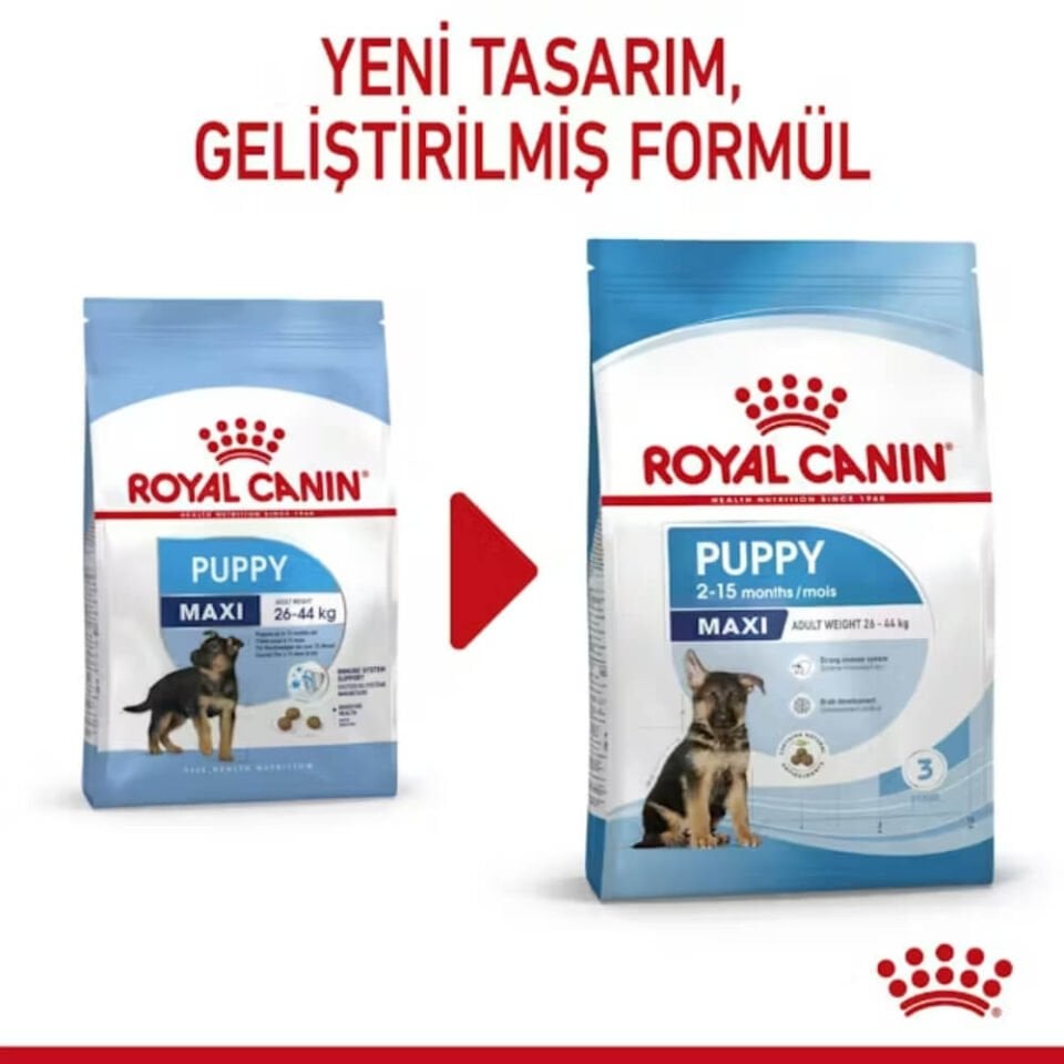 Royal Canin Maxi Puppy Büyük Irk Yavru Köpek Maması 15kg