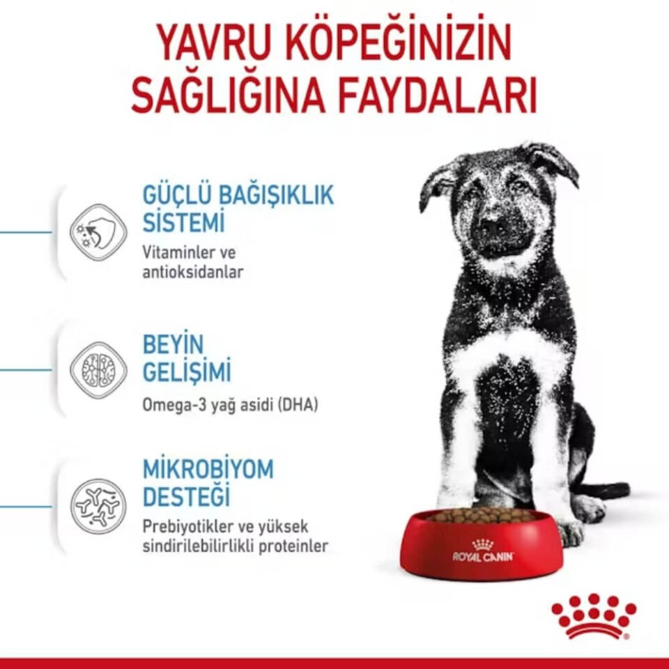 Royal Canin Maxi Puppy Büyük Irk Yavru Köpek Maması 15kg