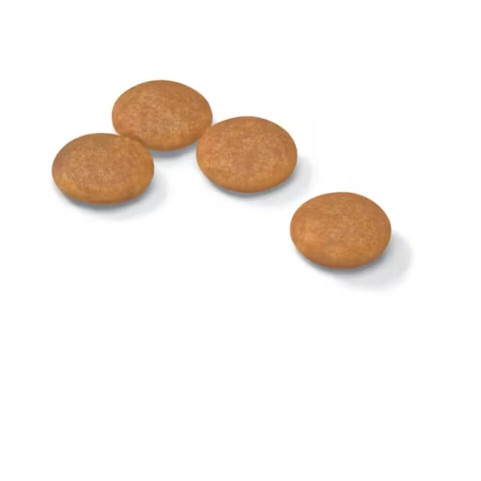 Royal Canin Dermacomfort Mini Yetişkin Köpek Maması 3kg