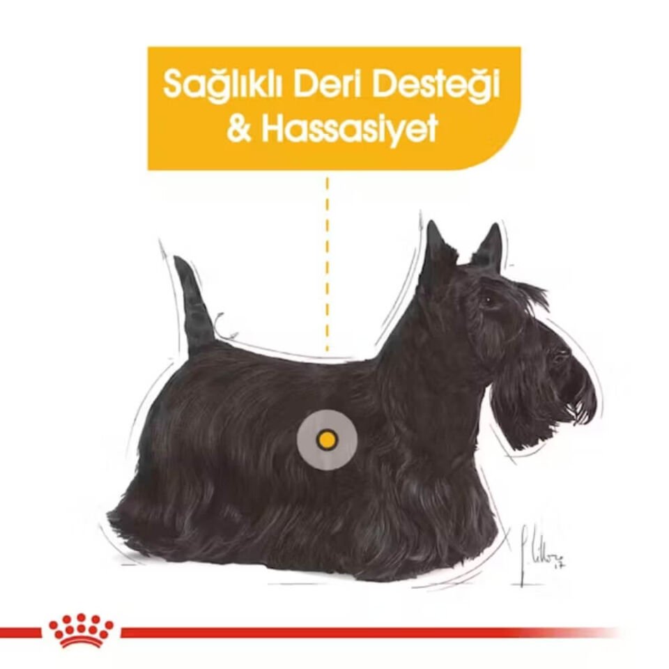 Royal Canin Dermacomfort Mini Yetişkin Köpek Maması 3kg