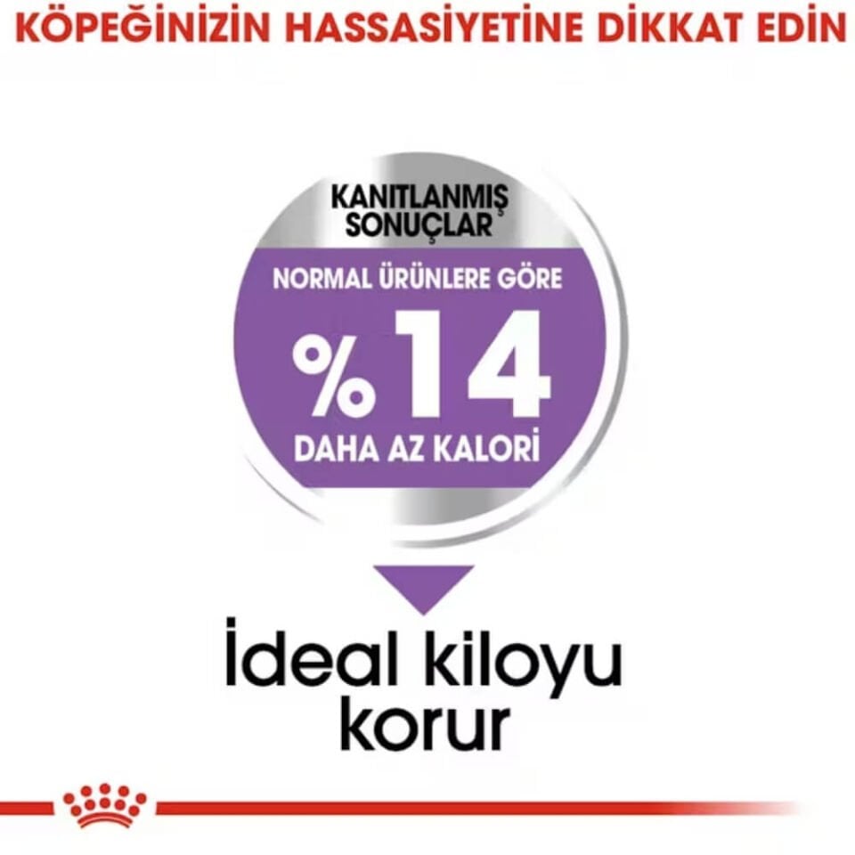 Royal Canin Mini Küçük Irk Kısırlaştırılmış Köpek Maması 3kg