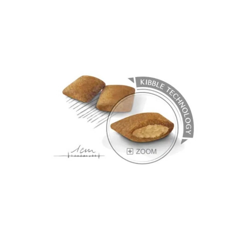 Royal Canin Exigent Mini Yetişkin Köpek Maması 3kg