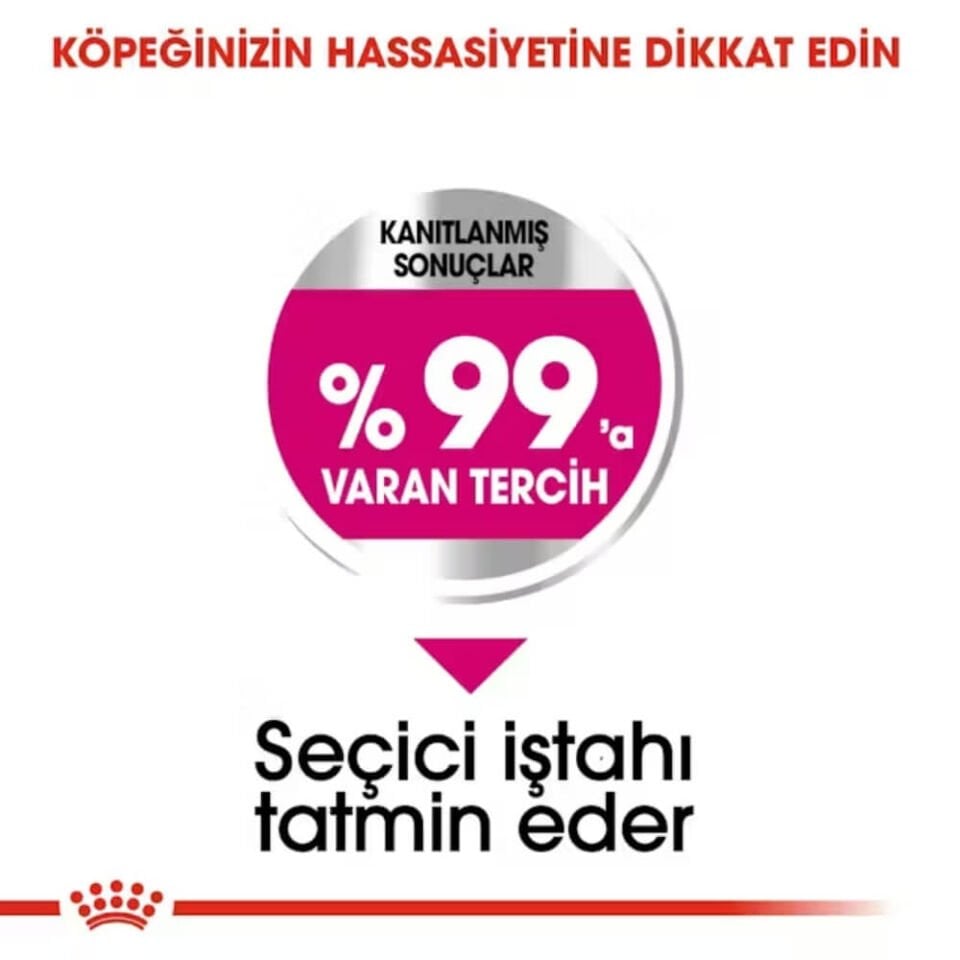 Royal Canin Exigent Mini Yetişkin Köpek Maması 3kg