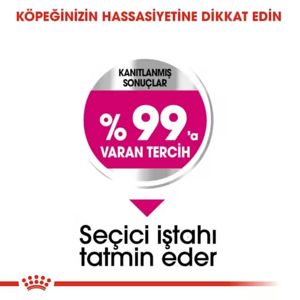 Royal Canin Exigent Mini Yetişkin Köpek Maması 3kg