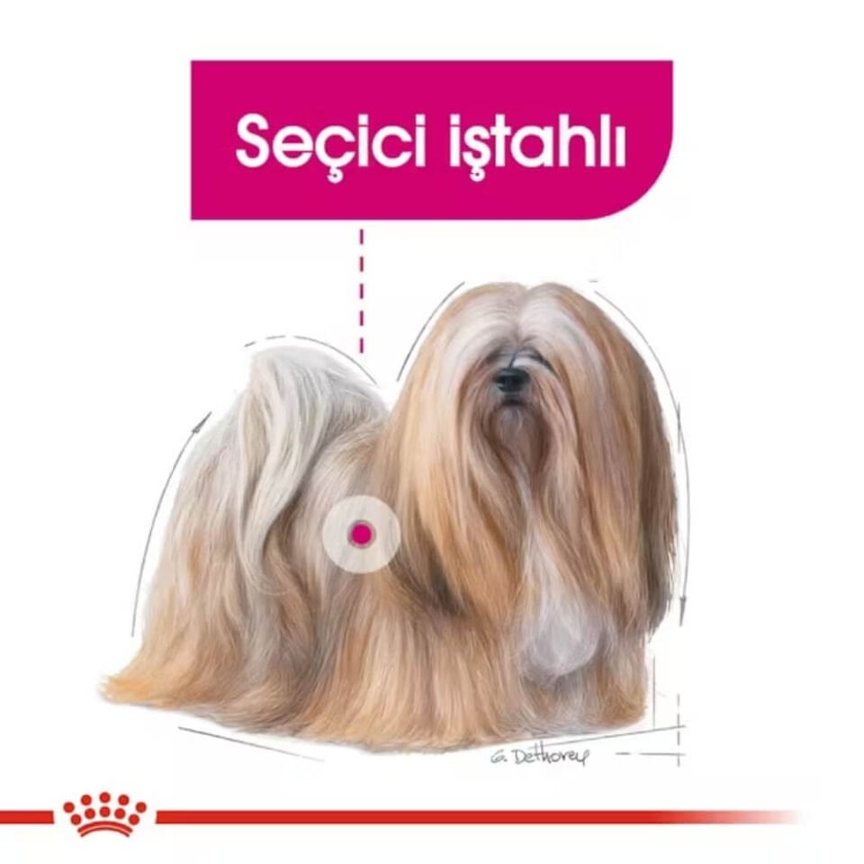 Royal Canin Exigent Mini Yetişkin Köpek Maması 3kg
