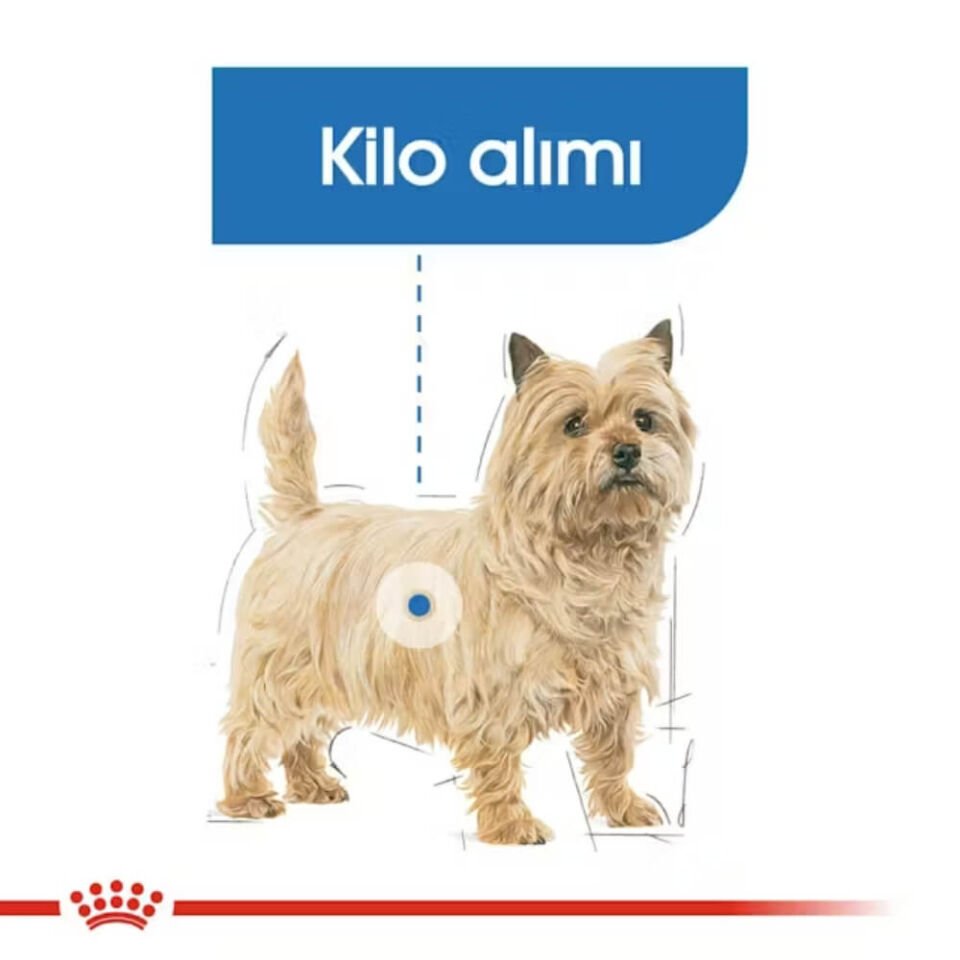 Royal Canin Light Weight Care Mini Yetişkin Köpek Maması 3kg