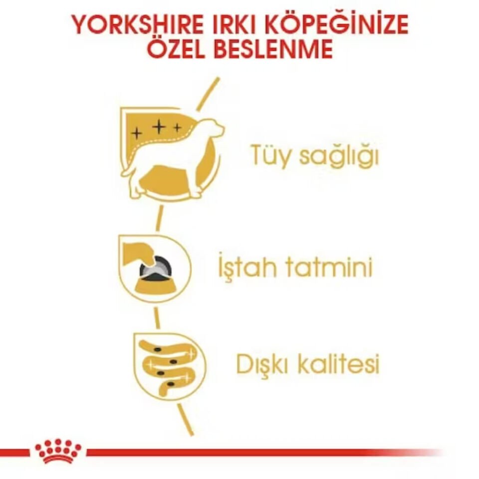 Royal Canin Yorkshire Terrier Yetişkin Köpek Konservesi 85gr