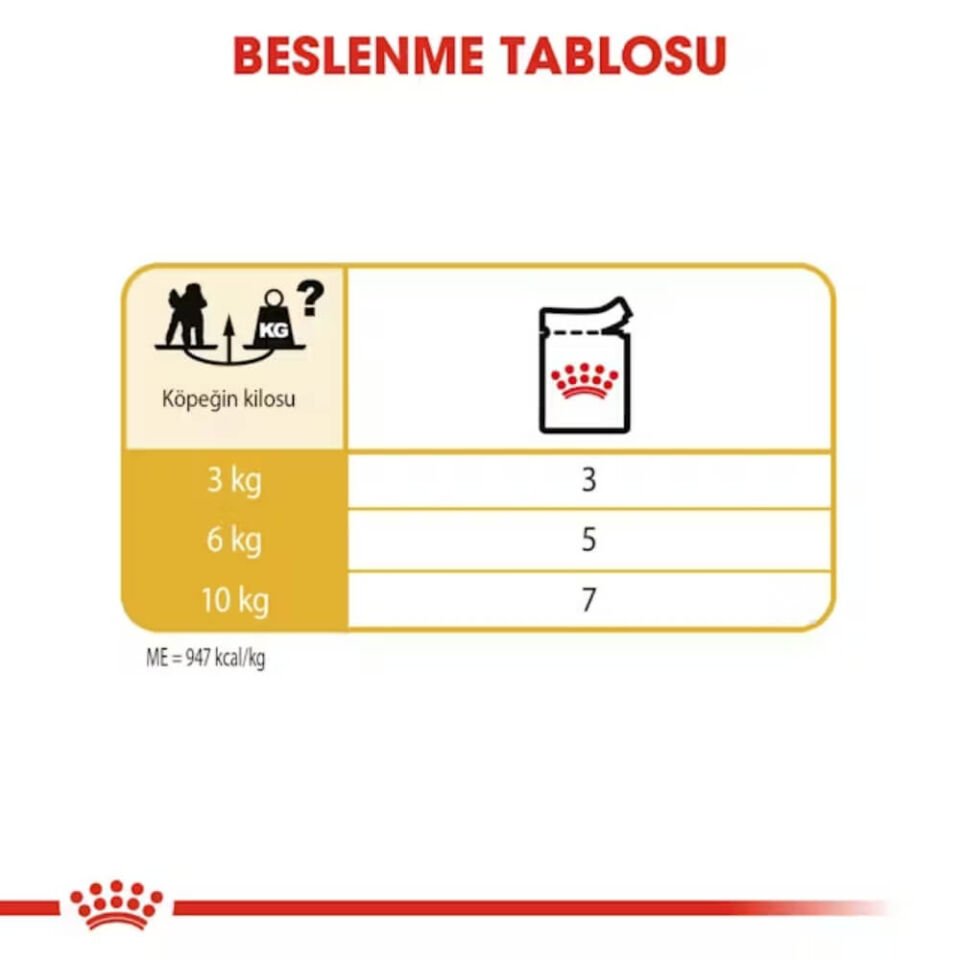 Royal Canin Adult Poodle Caniche Tüy Sağlığı Destekleyici Yetişkin Köpek Konservesi 85gr