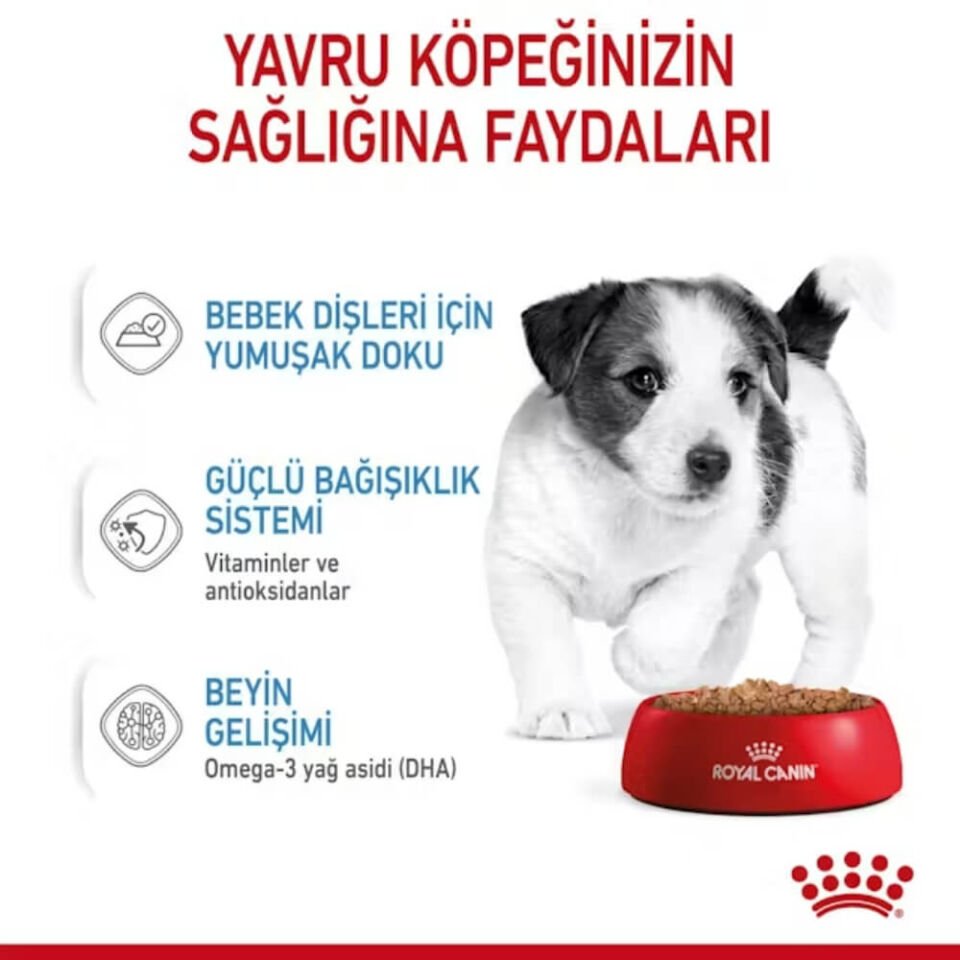 Royal Canin Küçük Irk Yavru Köpek Konservesi 85gr