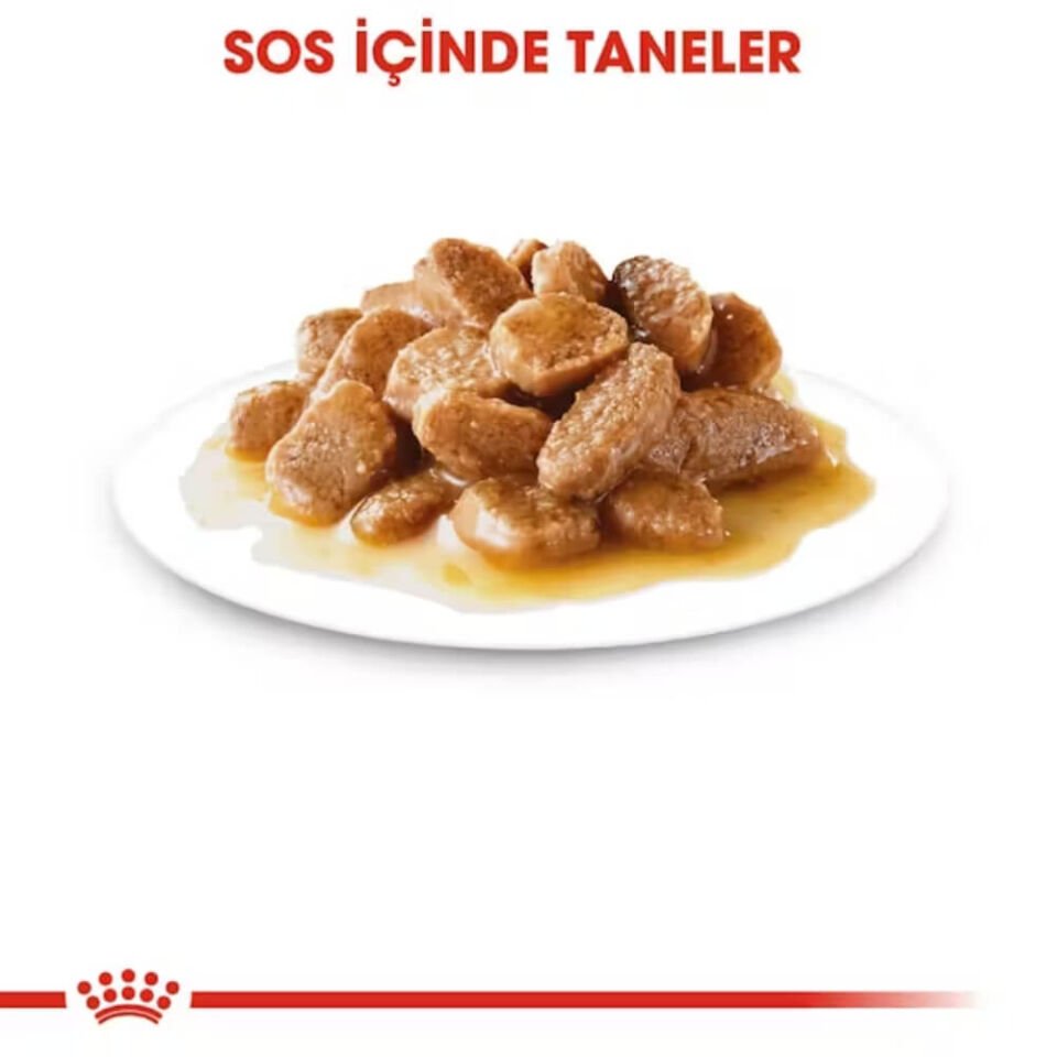 Royal Canin Küçük Irk Yetişkin Köpek Konservesi 85gr