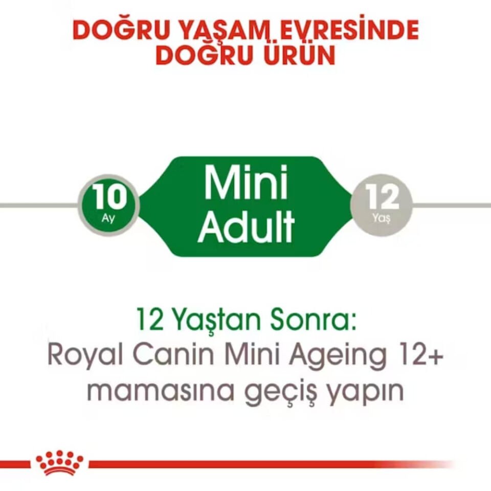 Royal Canin Küçük Irk Yetişkin Köpek Konservesi 85gr