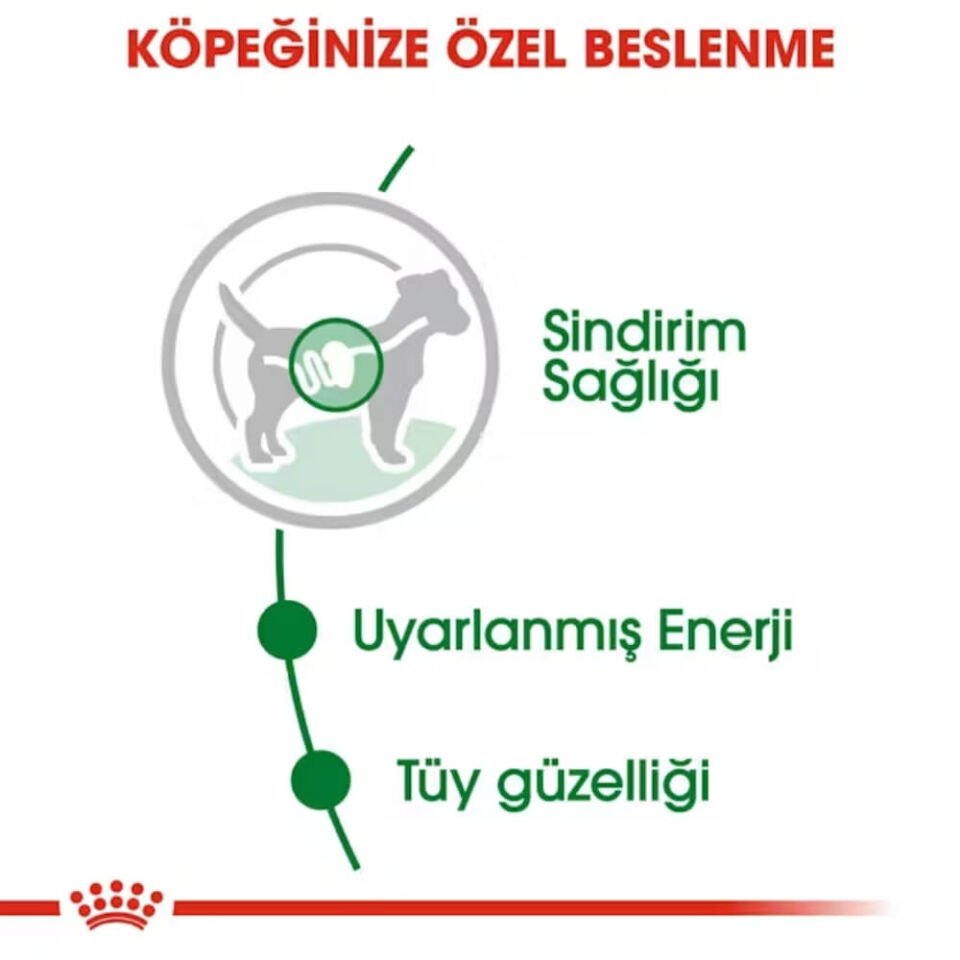 Royal Canin Küçük Irk Yetişkin Köpek Konservesi 85gr