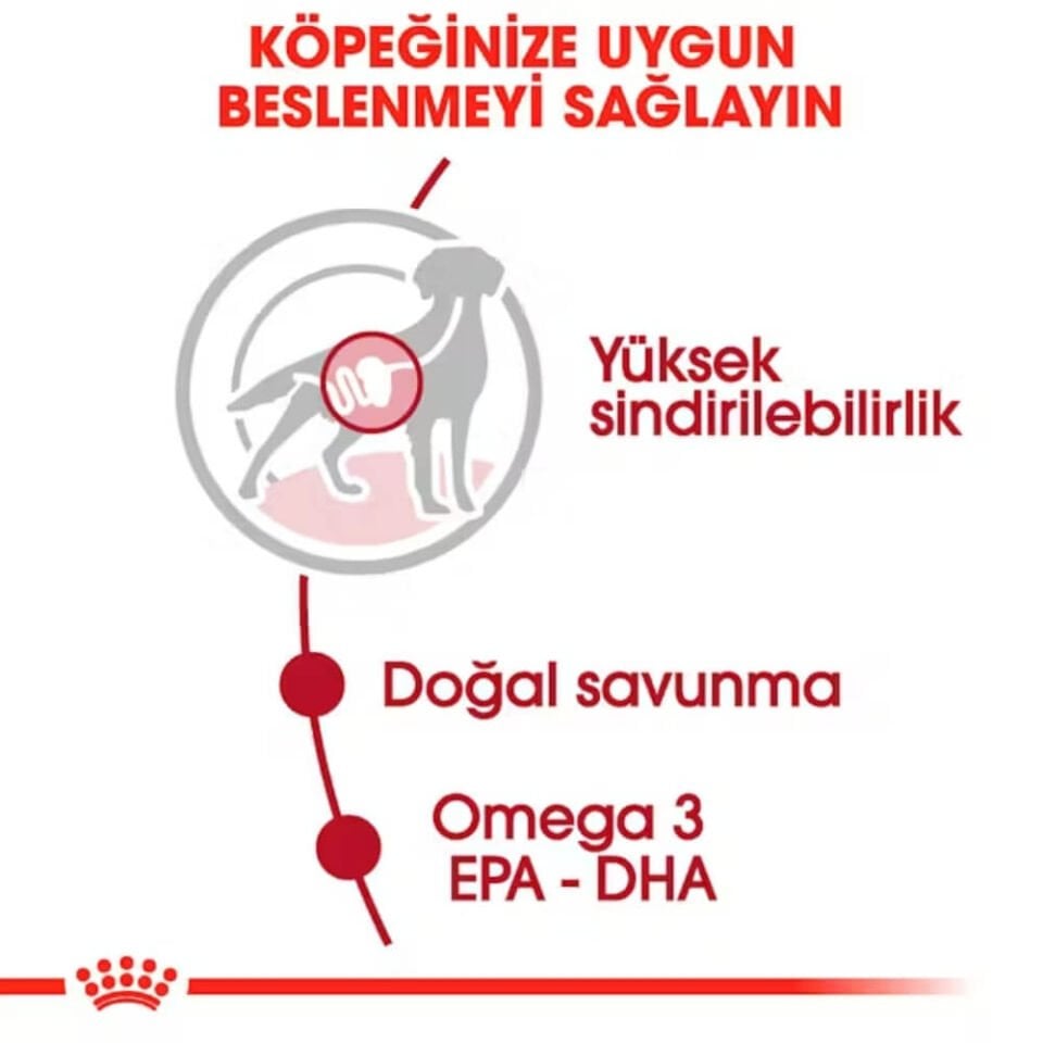 Royal Canin Sos İçinde Orta Irk Yetişkin Köpek Konservesi 140gr