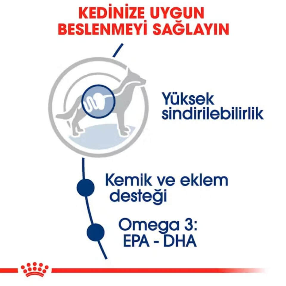 Royal Canin Sos İçinde Büyük Irk Yetişkin Köpek Konservesi 140gr