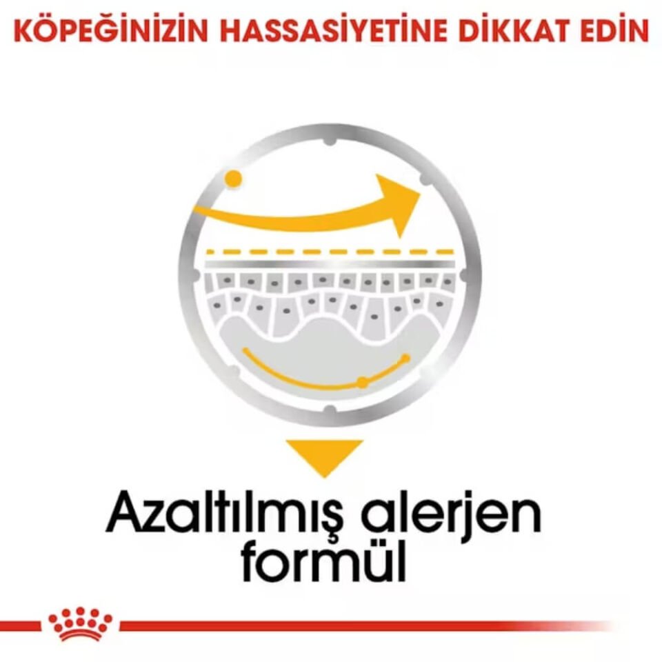 Royal Canin Dermacomfort Yetişkin Köpek Konservesi 85gr