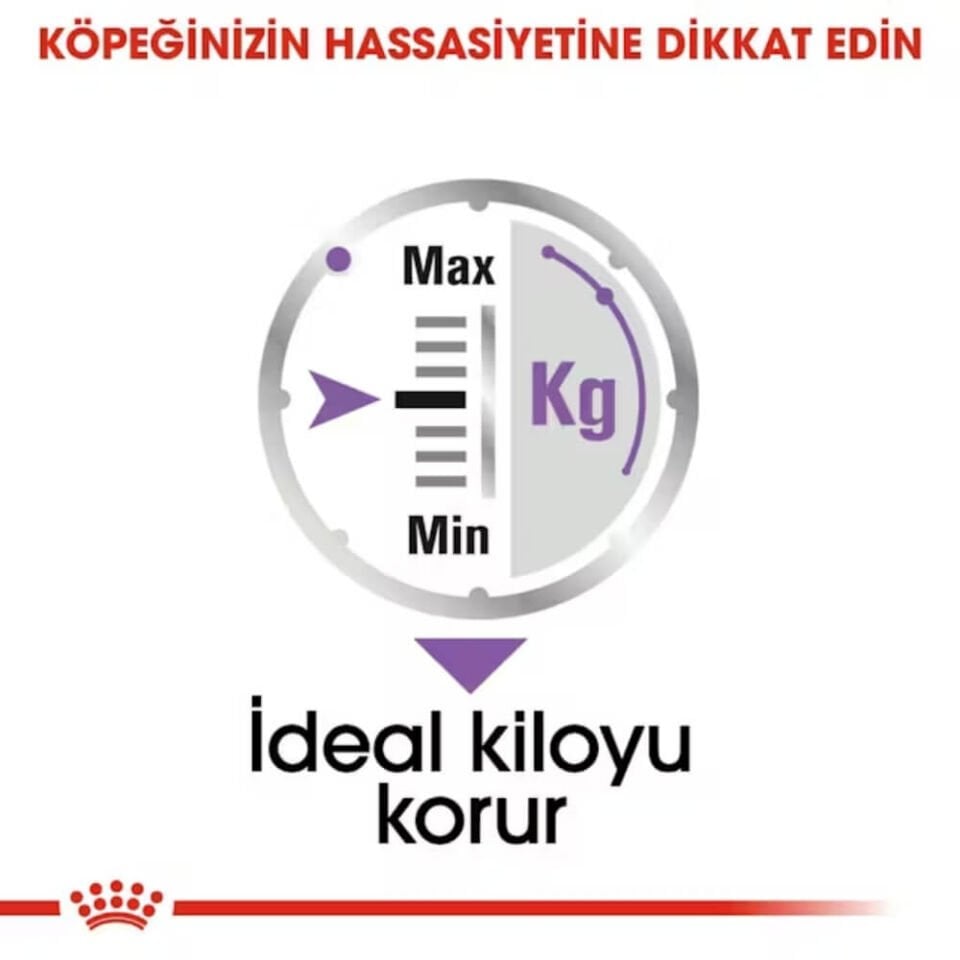 Royal Canin Kısırlaştırılmış Köpek Konservesi 85gr