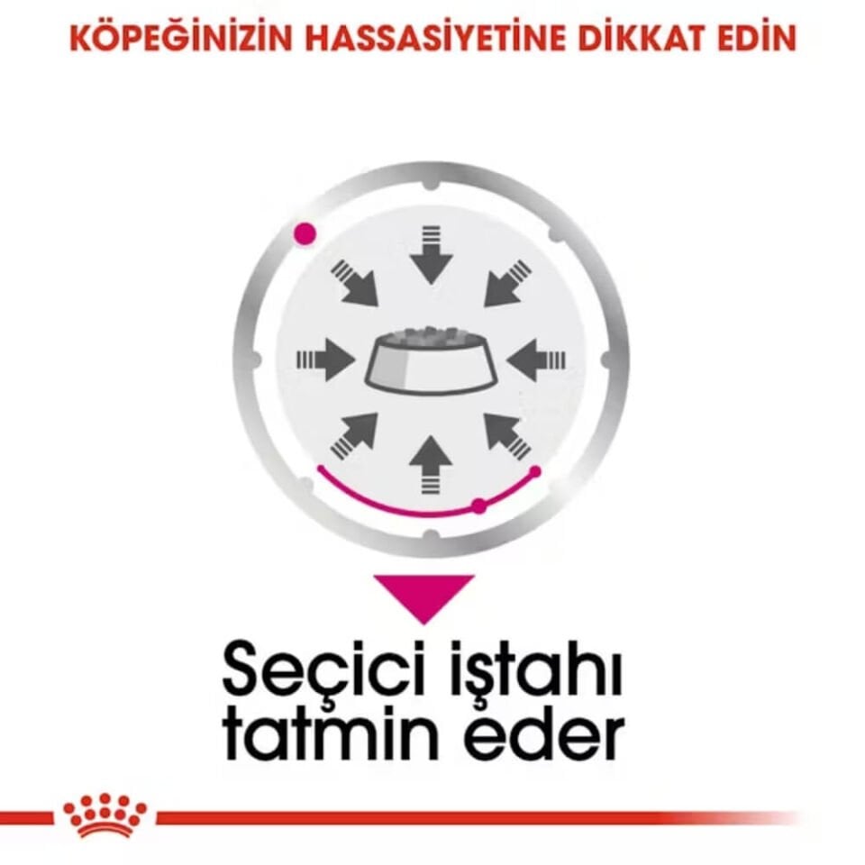 Royal Canin Exigent Seçici Köpeklere Özel Yetişkin Köpek Konservesi 85gr
