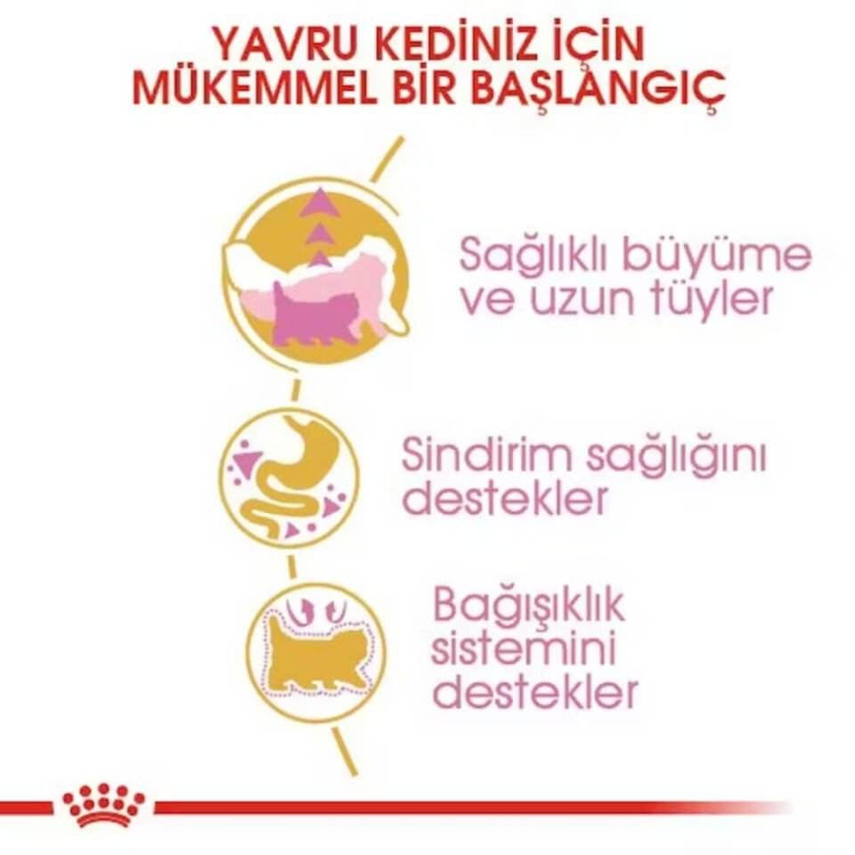 Royal Canin Kitten İran Kedileri İçin Yavru Kedi Maması 2kg