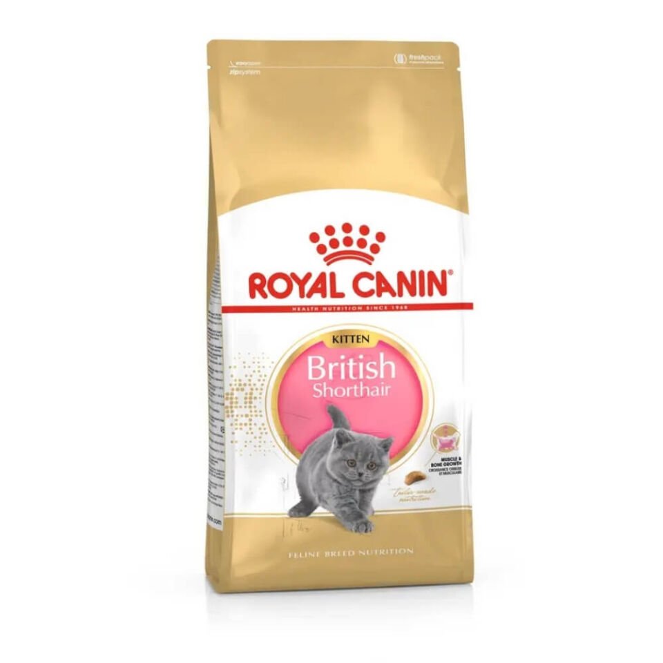 Royal Canin Kitten British Shorthair Yavru Kedi Maması 2kg