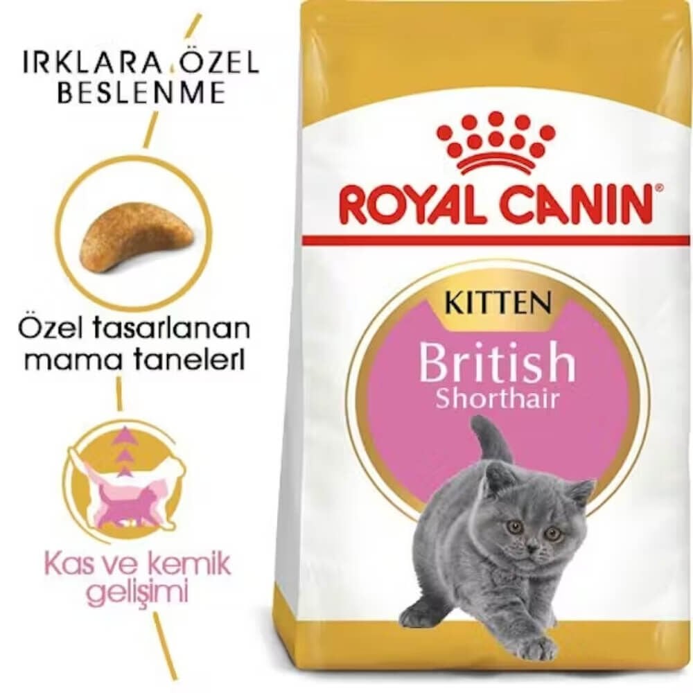 Royal Canin Kitten British Shorthair Yavru Kedi Maması 2kg
