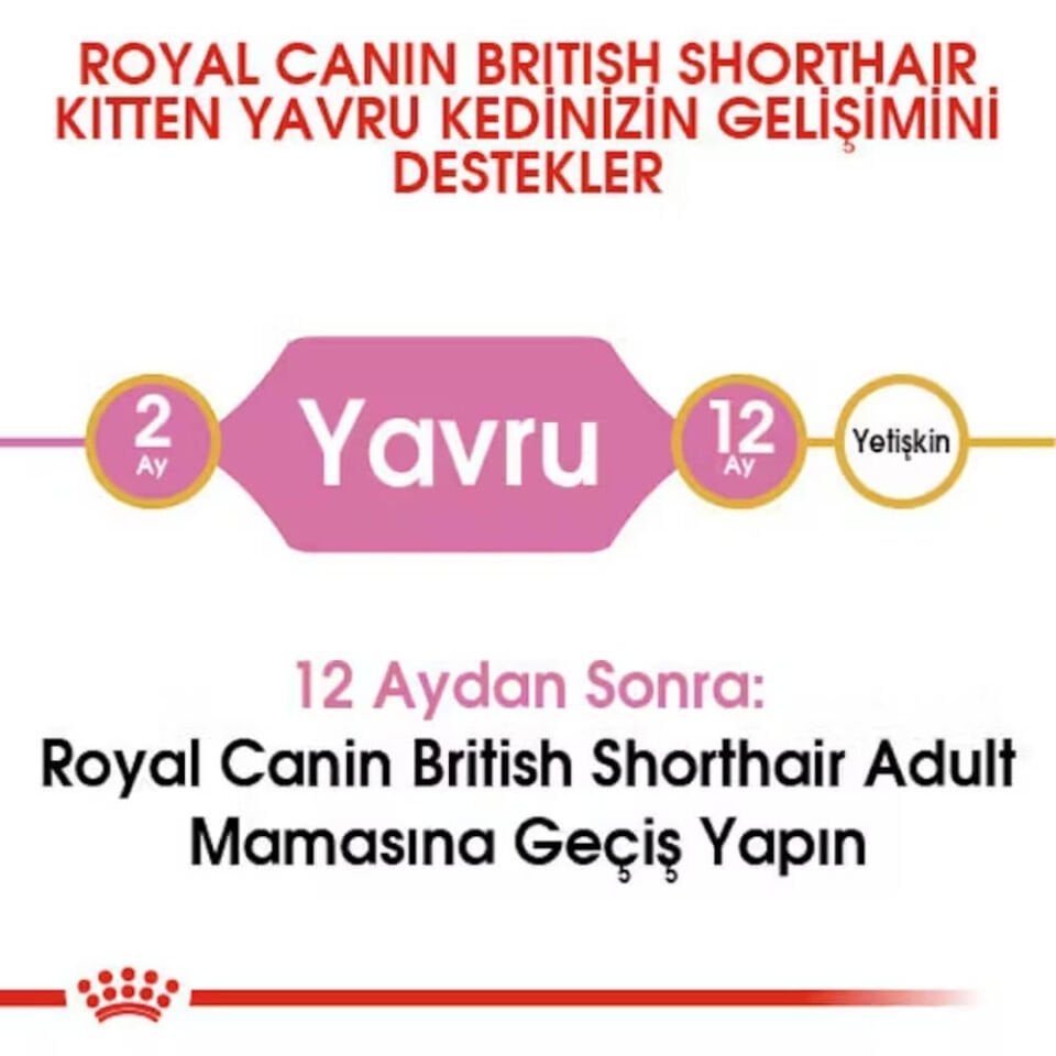 Royal Canin Kitten British Shorthair Yavru Kedi Maması 2kg