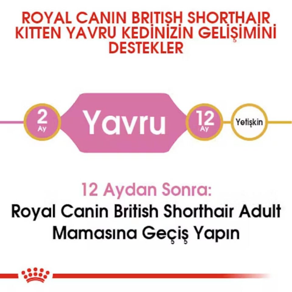 Royal Canin Kitten British Shorthair Yavru Kedi Maması 2kg