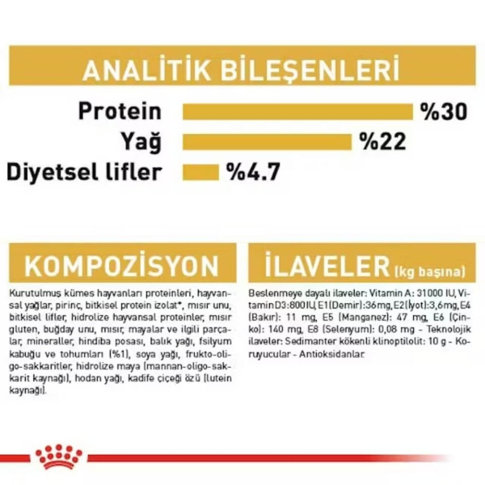 Royal Canin İran Kedisi Yetişkin Kedi Maması 4kg
