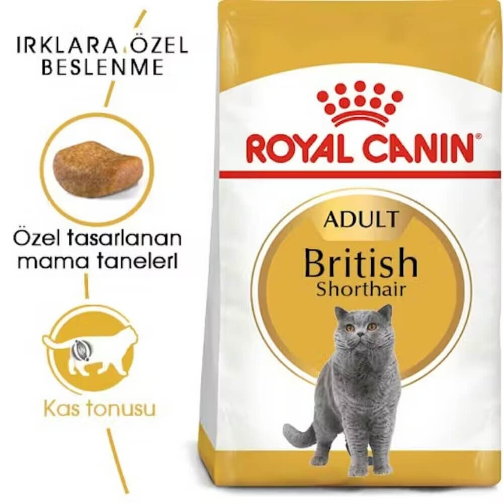 Royal Canin British Shorthair Yetişkin Kedi Maması 2kg