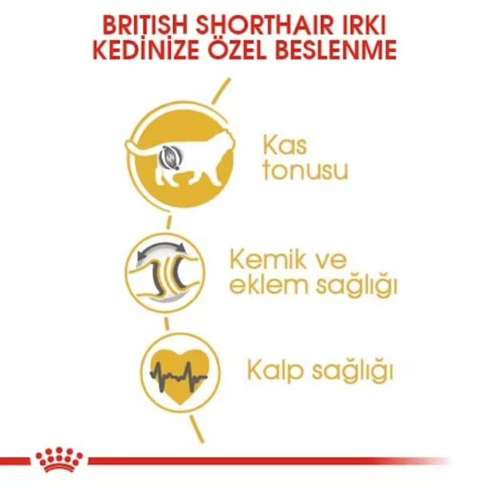 Royal Canin British Shorthair Yetişkin Kedi Maması 4kg