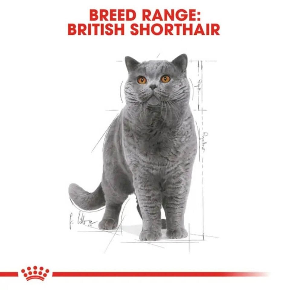 Royal Canin Pouch British Yetişkin Kedi Konservesi 85gr