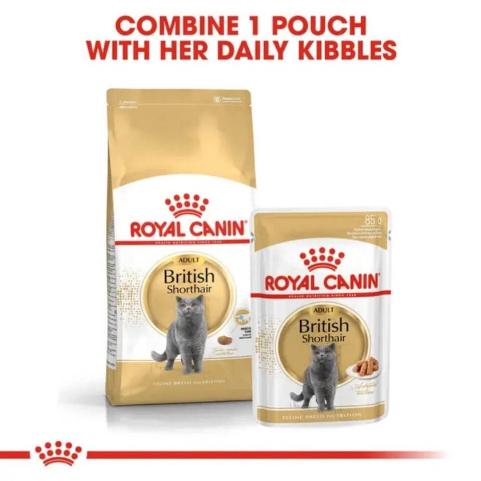Royal Canin Pouch British Yetişkin Kedi Konservesi 85gr
