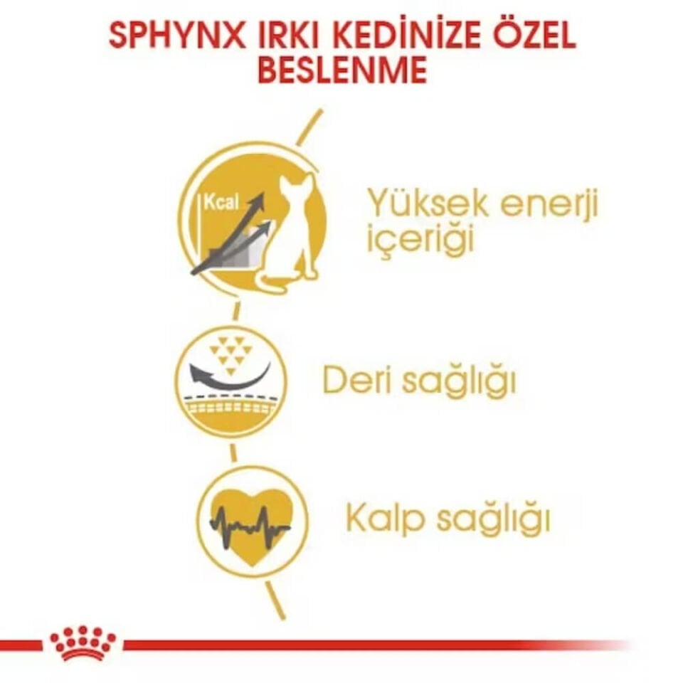Royal Canin Sphynx Yetişkin Kedi Maması 2kg