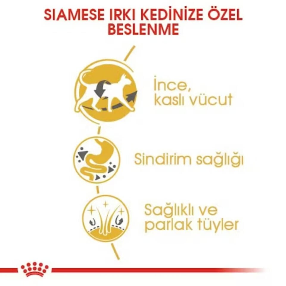 Royal Canin Siamese 38 Yetişkin Kedi Maması 2kg