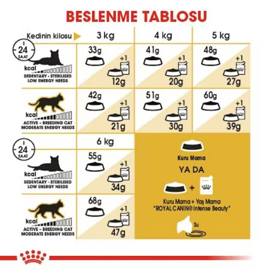 Royal Canin Siamese 38 Yetişkin Kedi Maması 2kg