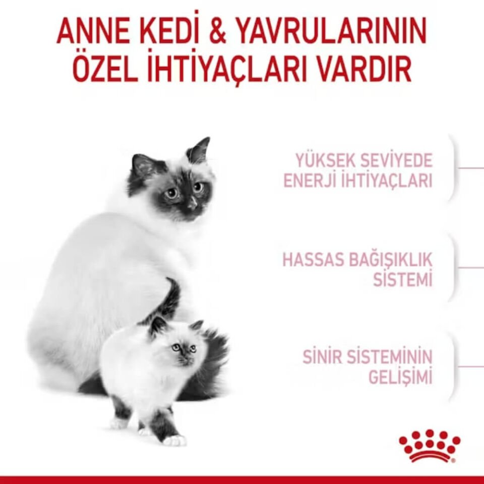 Royal Canin Mother&BabyCat Yavru Kedi Maması 2kg